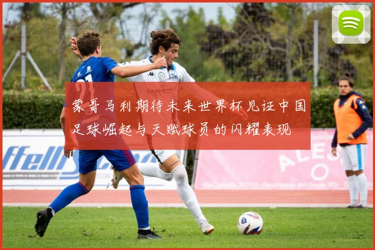 蒙哥马利期待未来世界杯见证中国足球崛起与天赋球员的闪耀表现