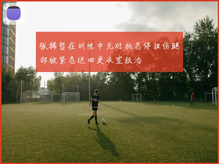 张稀哲在训练中无对抗急停扭伤腿部被紧急送回更衣室救治